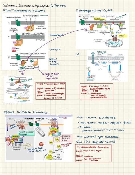 Should You Upgrade from Membrane to Mechanical?